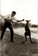 20-3-2024 (3 Y 30) Australia - Kangaroo Boxing - Boxing