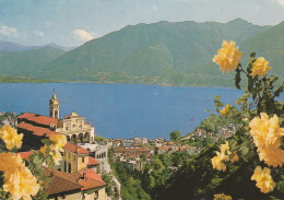 U5828 Locarno - Orselina - Santuario Madonna Del Sasso - Panorama Sul Lago Maggiore - Fiori Fleurs / Viaggiata 1981 - Orselina