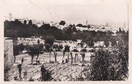 Maroc --MEKNES --1947--Vue Partielle Sur La Ville Indigène  (petite Animation)............. - Meknes