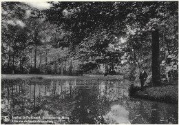 Jemappes - Institut Saint-Ferdinand Une Vue Du Bassin De Natation - Mons