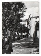 PENTONE, VIA ROMA, B/N, VIAGGIATA 1956      **//** - Catanzaro