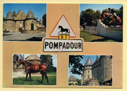 19. POMPADOUR – Premier Centre Hippique D'Europe – Multivues (animée, Chevaux) (voir Scan Recto/verso) - Arnac Pompadour