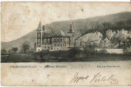 Profondeville  Chateau Misonne - Profondeville