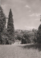 18518 - Bensheim-Auerbach - Herrenhaus - Ca. 1965 - Bensheim