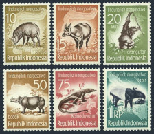 Indonesia 473-478, MNH. Mi 237-242. 1959.Wild Boar, Anoa, Orangutan,Lizard,Tapir - Indonésie