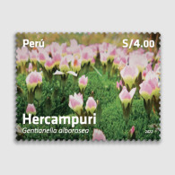 O) 2022 PERU, FLOWERS - CROP,  HERCAMPURI - GENTIANELLA ALBOROSEA, MNH - Pérou
