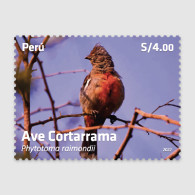 RO) 2022 PERU, BIRD IN THE WAY OF EXTINCTION - AVE CORTARRAMA - PHYTOTOMA RAIMONDII, MNH - Pérou