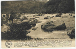 REMOUCHAMPS-QUARREUX : Le Bétail Près Des Pierres Du Moulin Du Diable - Aywaille