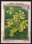 Nestlé - LXXXII - Fleur De Champs, Field Flowers - 4 - Primevère, Primula - Nestlé