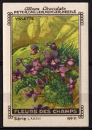 Nestlé - LXXXII - Fleur De Champs, Field Flowers - 11 - Violette, Viola - Nestlé