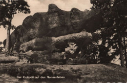 137502 - Jonsdorf - Krokodil Auf Nonnenfelsen - Jonsdorf