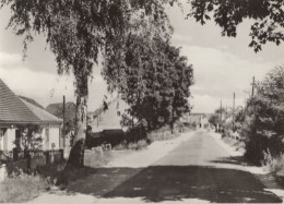 126025 - Schwielochsee-Lamsfeld - Strassenbild - Lübben (Spreewald)