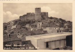 Cartolina Salemi ( Trapani ) Panorama Col Castello Normanno Visto Da Monte Rosa - Trapani