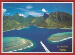 Polynésie Française / Moorea - Vue Aérienne 1022 - Polynésie Française