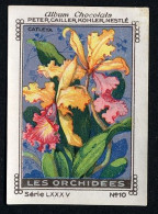 Nestlé - LXXXV - Les Orchidées, Orchids - 10 - Catleya - Nestlé