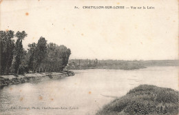 45-CHATILLON SUR LOIRE-N°T5234-D/0037 - Chatillon Sur Loire