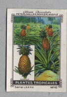 Nestlé - LXXXVI - Plantes Tropicales, Tropical Plants - 10 - Ananas - Nestlé