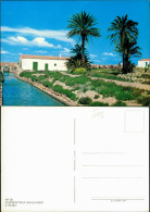 Postales Formentera FORMENTERA (BALEARES) S' SEQUI 1980 - Altri & Non Classificati