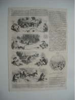GRAVURE 1852. ALMANACH DE L’ILLUSTRATION POUR 1853. AVEC EXPLICATIF. - Drawings