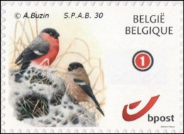 DUOSTAMP/MYSTAMP** - SPAB 30 Ans / Jaar / Jahre / Years - Bouvreuil / Goudvink / Gimpel / Bullfinch - BUZIN - Postfris