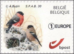 DUOSTAMP/MYSTAMP** - SPAB 30 Ans / Jaar / Jahre / Years - Bouvreuil / Goudvink / Gimpel / Bullfinch - BUZIN - EUROPE - Nuevos