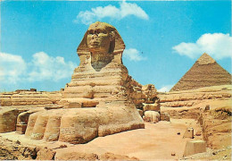 Egypte - Gizeh - Giza - Le Sphinx - Voir Timbre - CPM - Voir Scans Recto-Verso - Gizeh