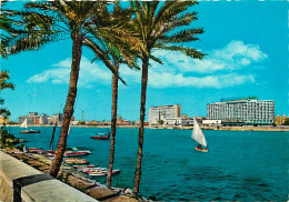 Egypte - Le Caire - Cairo - The Nile And Hilton Hotel - Immeubles - Carte Neuve - CPM - Voir Scans Recto-Verso - Cairo