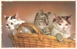 ANIMAUX & FAUNE - Chats - Panier - Colorisé - Carte Postale - Cats