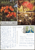 Seychellen (Seychelles)  Blumen Flower 1982  Gel. Briefmarke - Seychellen