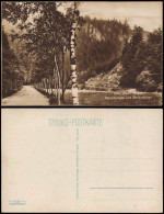 Olbernhau Natzschungtal Stösserfelsen Birkenallee Erzgebirge 1928 - Olbernhau