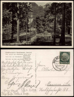 Ansichtskarte Herford Goldfischteich Waldfrieden 1936 - Herford