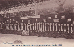 Ets Belloy Estrées St Denis  Pruducteur Semences Expo Paris 1931 Envoi Hamard à Fontaines Par St Valerien Yonne - Estrees Saint Denis