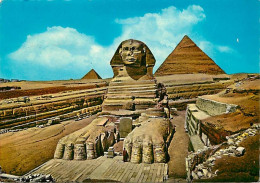 Egypte - Gizeh - Giza - The Great Sphinx Of Giza - Voir Timbre - CPM - Voir Scans Recto-Verso - Guiza
