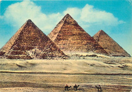 Egypte - Gizeh - Giza - Les Pyramides - The Pyramids - Voir Timbre - CPM - Voir Scans Recto-Verso - Guiza
