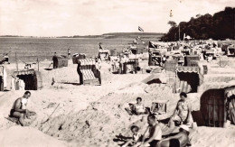 Ostseebad Hohwacht - Strandleben - Plön