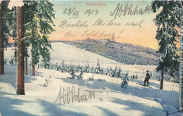 ALLEMAGNE - Winter Idylle - De La Neige - Vue Générale D'un Paysage Enneigé - Un Homme - Carte Postale Ancienne - Other & Unclassified