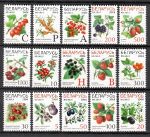 Belarus 2004 Bielorrusia / Fruits MNH Frutas Früchte / Cu21355  40-3 - Fruits