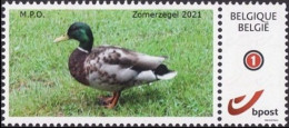 DUOSTAMP/MYSTAMP** - Timbre D'été / Zomer Zegel - Canard Colvert / Wilde Eend - MPO Mechelse PZK Opsinjoor - Ungebraucht