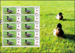 DUOSTAMP/MYSTAMP** - Timbre D'été / Zomer Zegel - Canard Colvert / Wilde Eend - MPO Mechelse PZK Opsinjoor - Nuevos