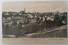 Gruss Aus Dahlen I.S., Gasthaus Schwan-Schlösschen, Vom Burgberger Aus Gesehen, 1906 - Dahlen