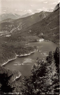 ALLEMAGNE - Der Eibsee (1000 M) - H Huber 483 - Vue Générale De La Forêt Et D'un Lac  - Carte Postale Ancienne - Garmisch-Partenkirchen