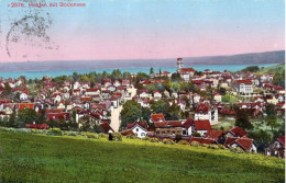 HEIDEN MIT BODENSEE - CARTOLINA FP SPEDITA NEL 1919 - Heiden