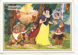 Blanche-Neige Et Les Sept Nains (Les Vedettes De Walt Disney D 470 Cp Vierge) Dans La Forêt Au Loin Le Prince Charmant - Autres & Non Classés
