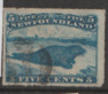 Newfoundland  1876   SG  43 Fine Used - 1865-1902