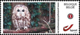 DUOSTAMP/MYSTAMP** - 32e Bourse/32e Beurs/32 Briefmarkenbörse - Postzegelclub Nossegem - 04/06/22 - Chouette/Uil/Eule - Mint