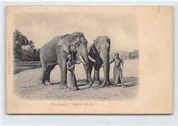 Malaysia - Elephant - Native States - RELIEF POSTCARD - Publ. G. R. Lambert & Co.  - Malesia
