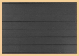 KOBRA VT5 Einsteckkarten 209 X 147 Mm DIN A5 Mit Deckblatt (100 Stück) #LK023 - Cartes De Stockage