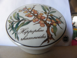 Boite Villeroy & Boch Botanica Hippophae Rhamnoides 'Argousier' - Boxes