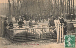 étampes * Place Et Le Marché Franc * Foire Aux Cochons - Etampes