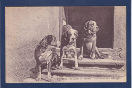 CPA 1 Euro Chien Saint Bernard Dog Non Circulée Prix De Départ 1 Euro - Honden